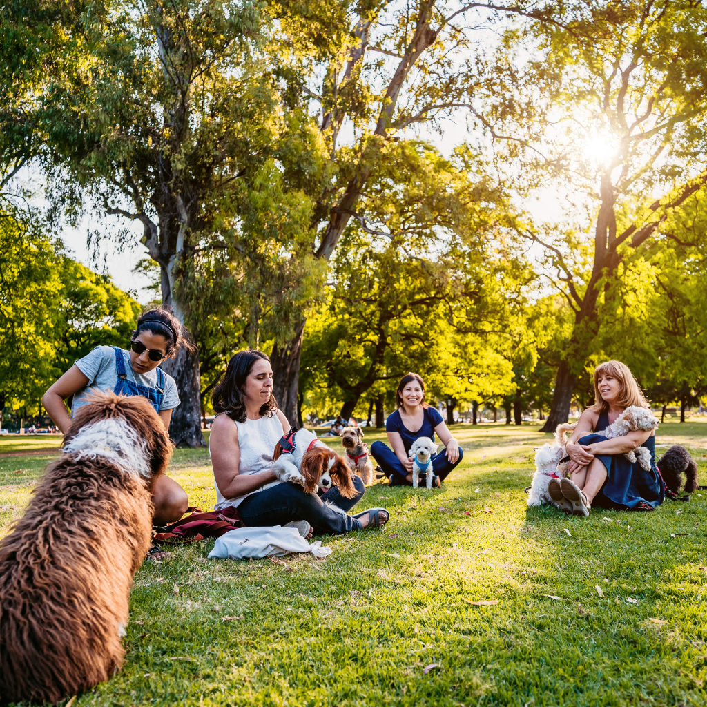 kurs grupowy Psi kurs grupowy Ogonisko