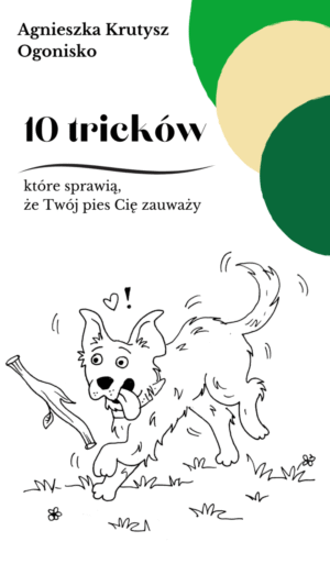 10 tricków, które sprawią, że Twój pies Cię zauważy