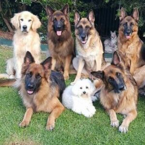 a31b321366acc88cedcb907ead91cba9