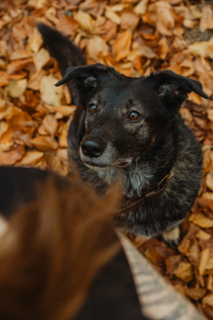2. konsultacje - zamiast Mordela po lewej
